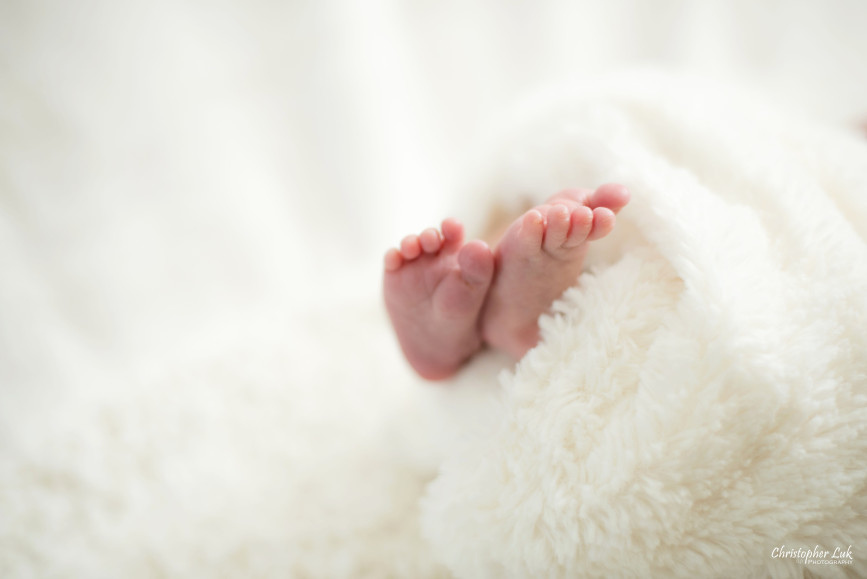 Newborn Baby Boy Little Curled Feet Closeup Wrapped in White Fluffy Blanket