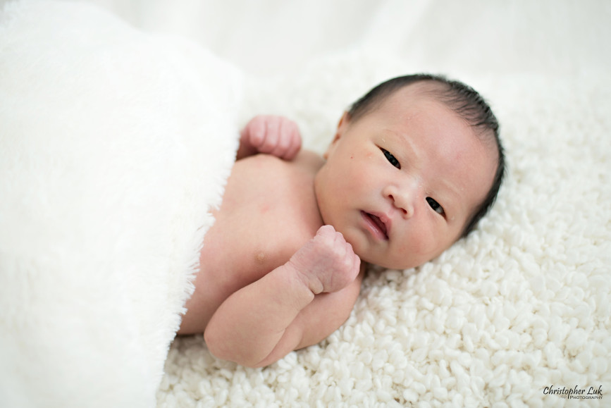 Newborn Baby Chinese Boy Son Fluffy White Blanket Headshot