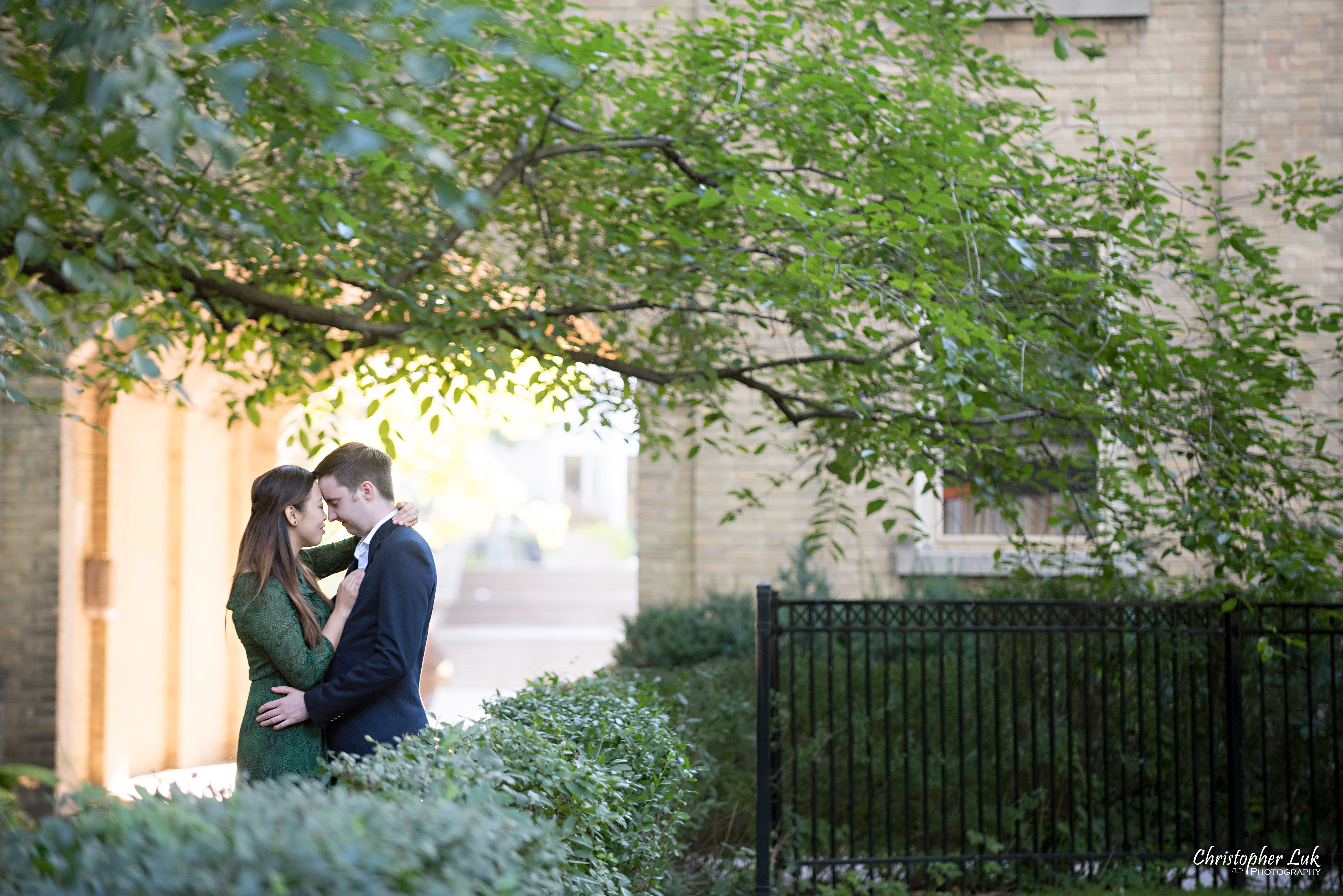 Christopher Luk (Toronto Wedding Photographer): University of Toronto College Doctor of Medicine Engagement Session Bride Groom Natural Candid Photojournalistic Hug Hold Snuggle Archway Old Tree Leaves Leading Line