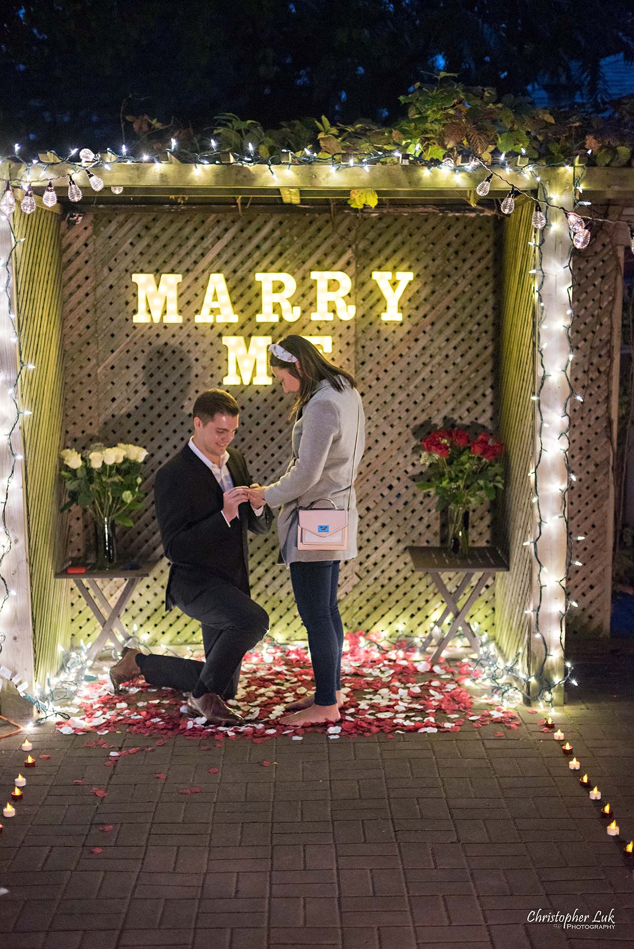 Christopher Luk Toronto Wedding Photographer - Backyard Surprise Proposal Engaged Engagement Gazebo Christmas Fairy Twinkle Lights Flower Petals Marry Me - Bride and Groom Natural Candid Photojournalistic Down on One Knee Diamond Ring Finger