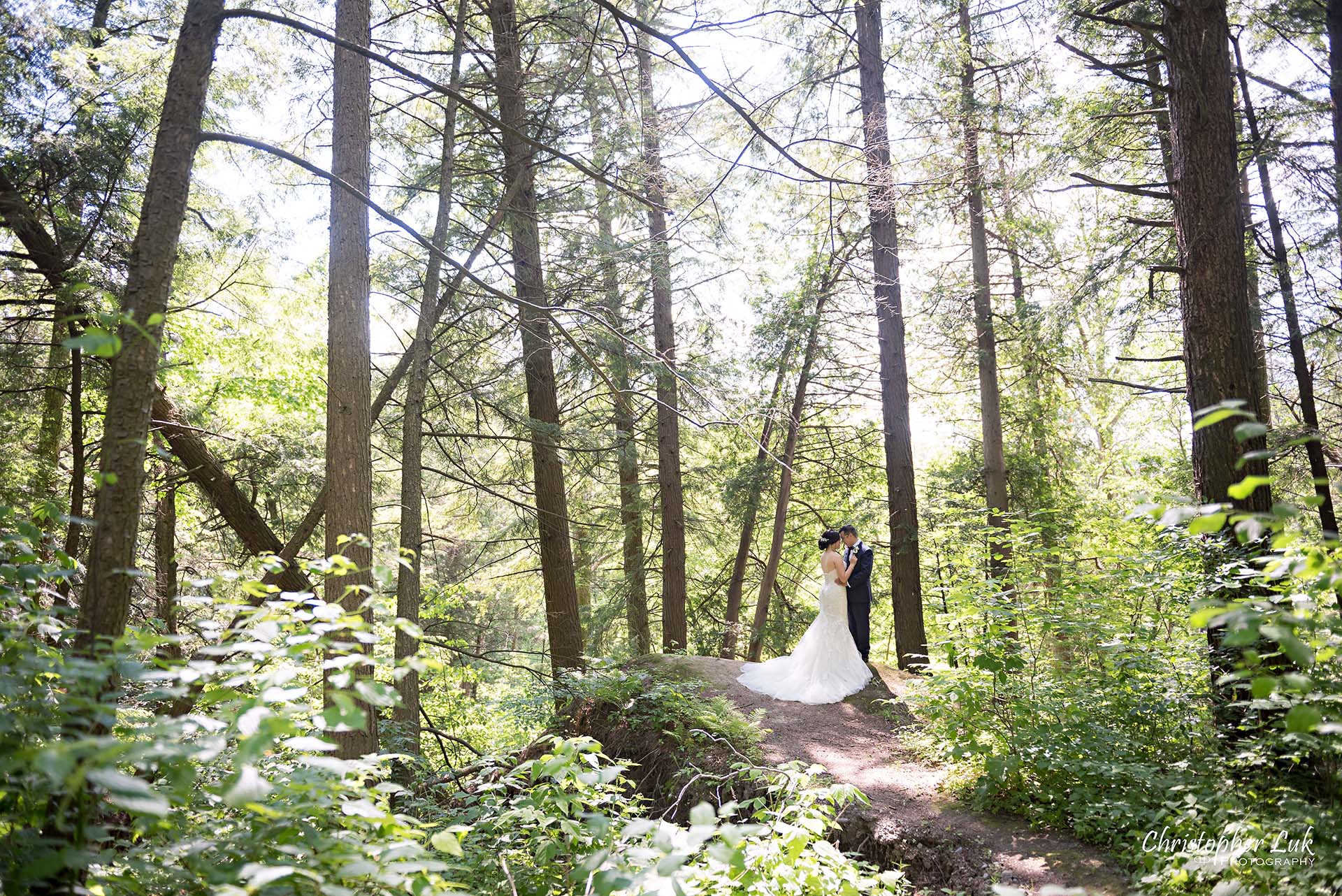 Christopher Luk Toronto Christian Community Church Kleinburg McMichael Art Gallery Presidente Banquet Hall Vaughan Wedding Photographer Bride Groom Natural Candid Photojournalistic Forest Cliff Lookout Overlook Woods Wooded Area Hug Hold Intimate Tall Trees Leading Lines Creative Portrait Landscape