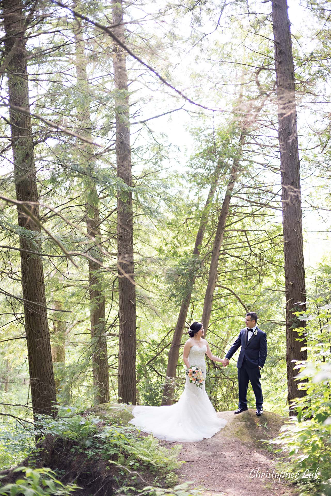 Christopher Luk Toronto Christian Community Church Kleinburg McMichael Art Gallery Presidente Banquet Hall Vaughan Wedding Photographer Bride Groom Natural Candid Photojournalistic Forest Cliff Lookout Overlook Woods Wooded Area Holding Hands Tall Trees Leading Lines Creative Portrait 