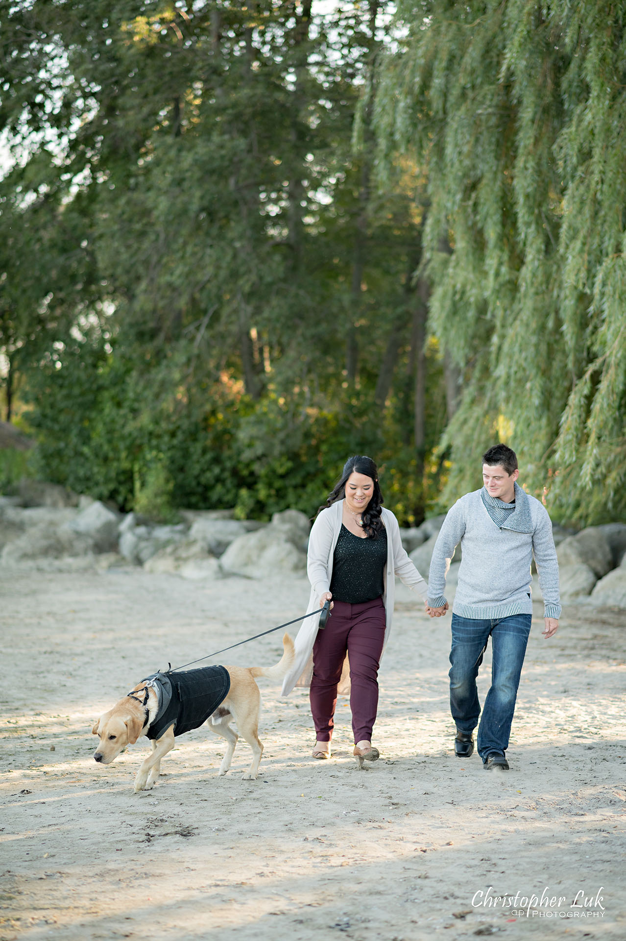 Christopher Luk Toronto Wedding Photographer Mississauga Jack Darling Memorial Park Rattray Marsh Conservation Area Beach Waterfront Autumn Engagement Session Natural Candid Photojournalistic Golden Labrador Retriever Dog Parents Fur Baby Portrait  Walking Together