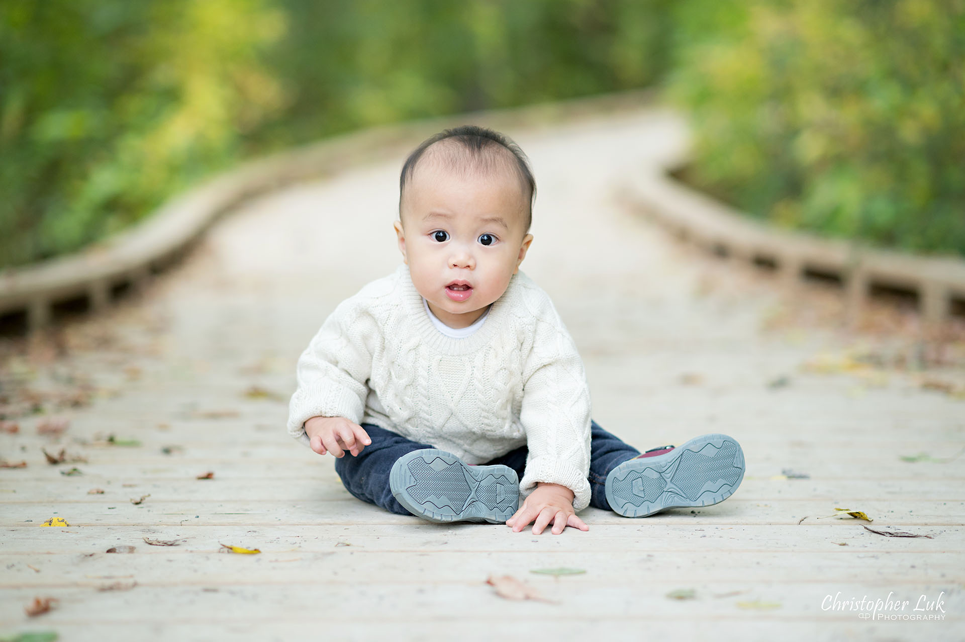 Christopher Luk Markham Family Photographer Autumn Leaves Fall Season Candid Photojournalistic Natural Bright Timeless Brother Son Sitting Baby Landscape