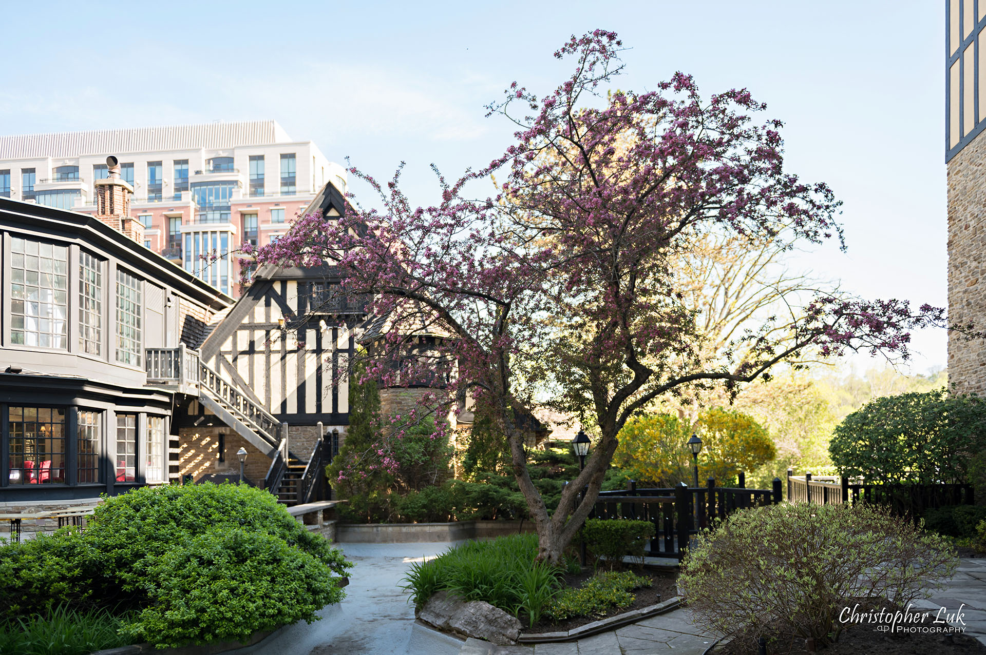 Christopher Luk Old Mill Toronto Wedding Photographer Wedding Tree Garden Spring Blossoms