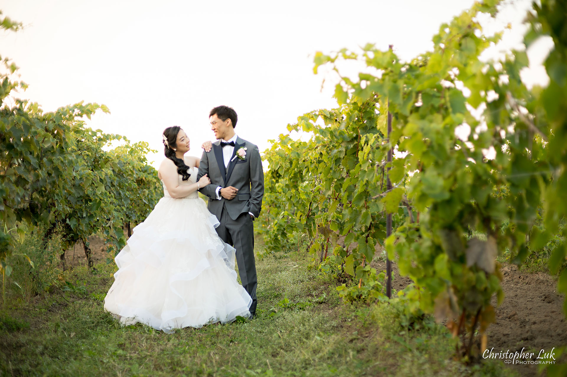 Willow Springs Winery Bride Groom Portrait Candid Natural Photojournalistic Vineyard Rows of Grape Vines Hug