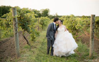 Willow Springs Winery Wedding