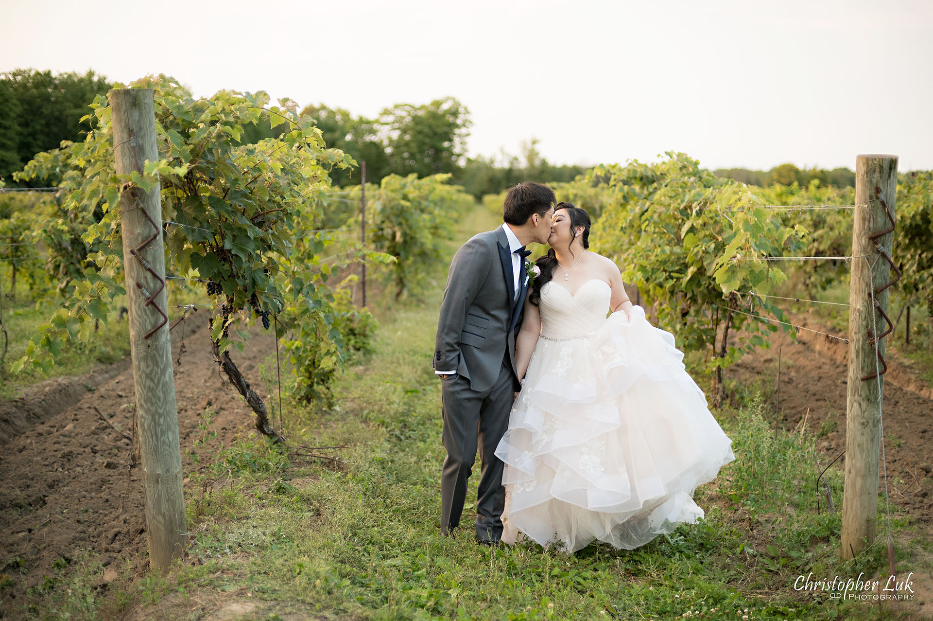 Willow Springs Winery Bride Groom Candid Natural Photojournalistic Vineyard Rows of Grape Vines Holding Hands Walking Together Landscape