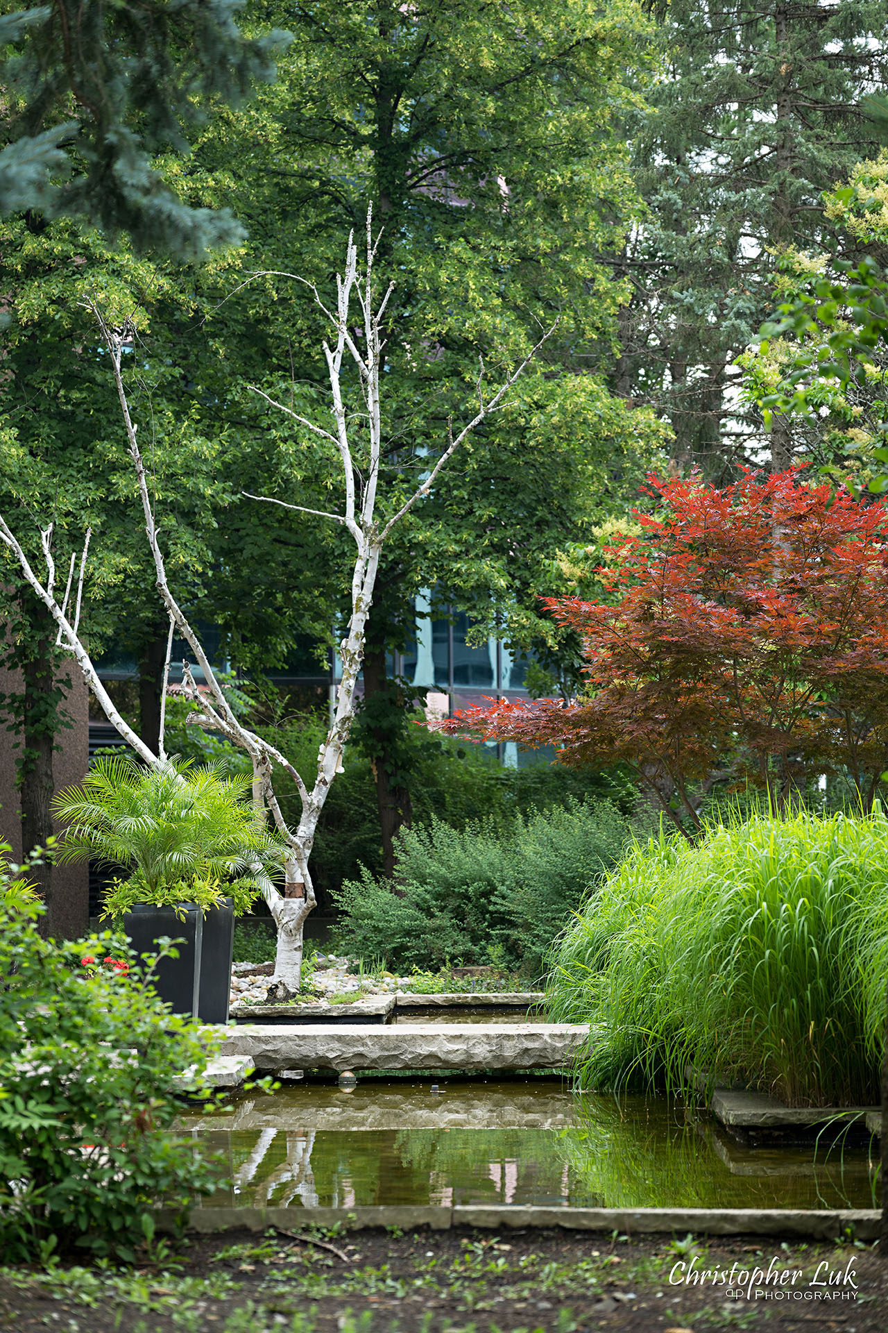 Hilton Suites Markham Toronto Hotel Zen Garden Stone Bridge Pond