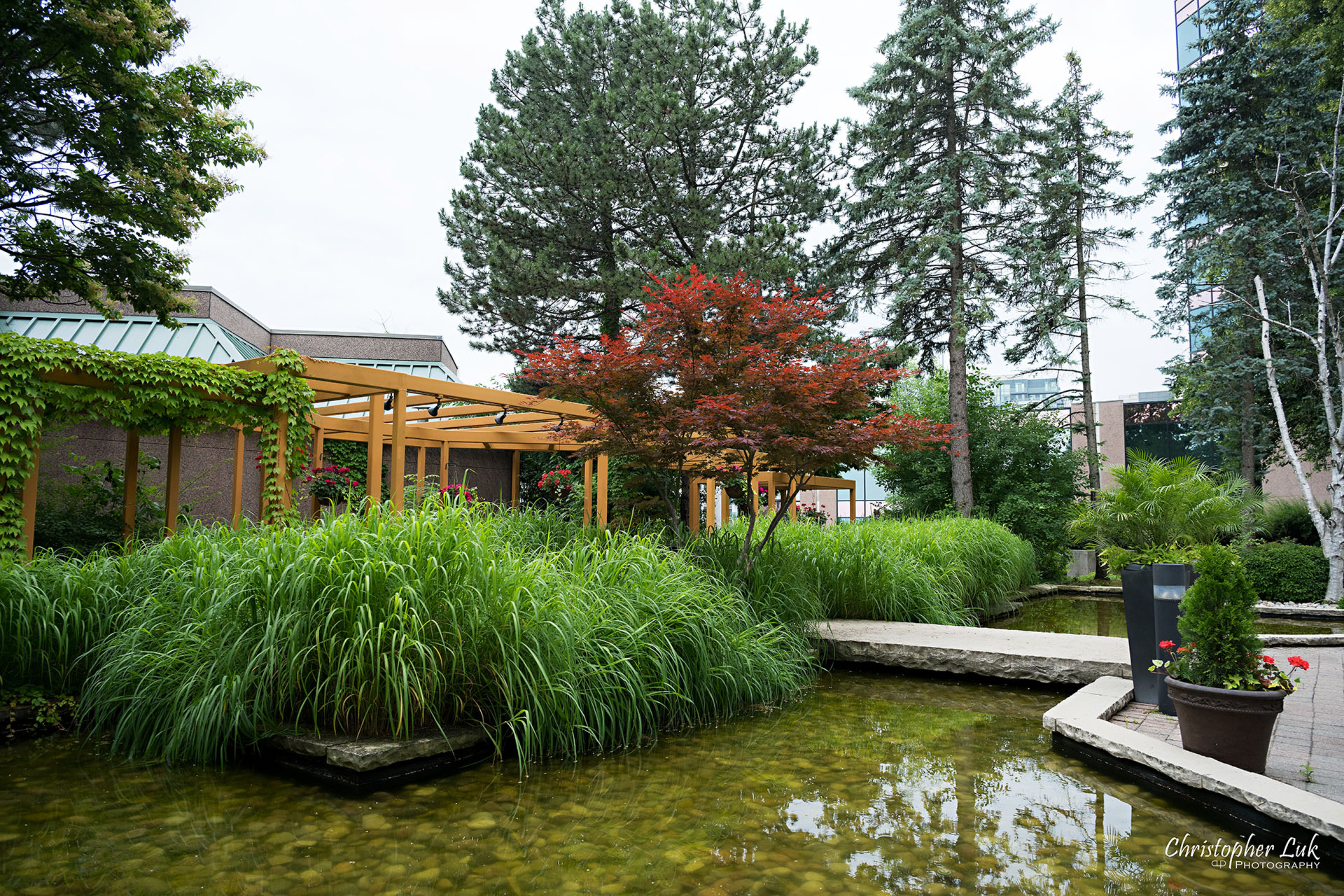 Hilton Suites Markham Toronto Hotel Zen Garden Stone Bridge Reflecting Pond 