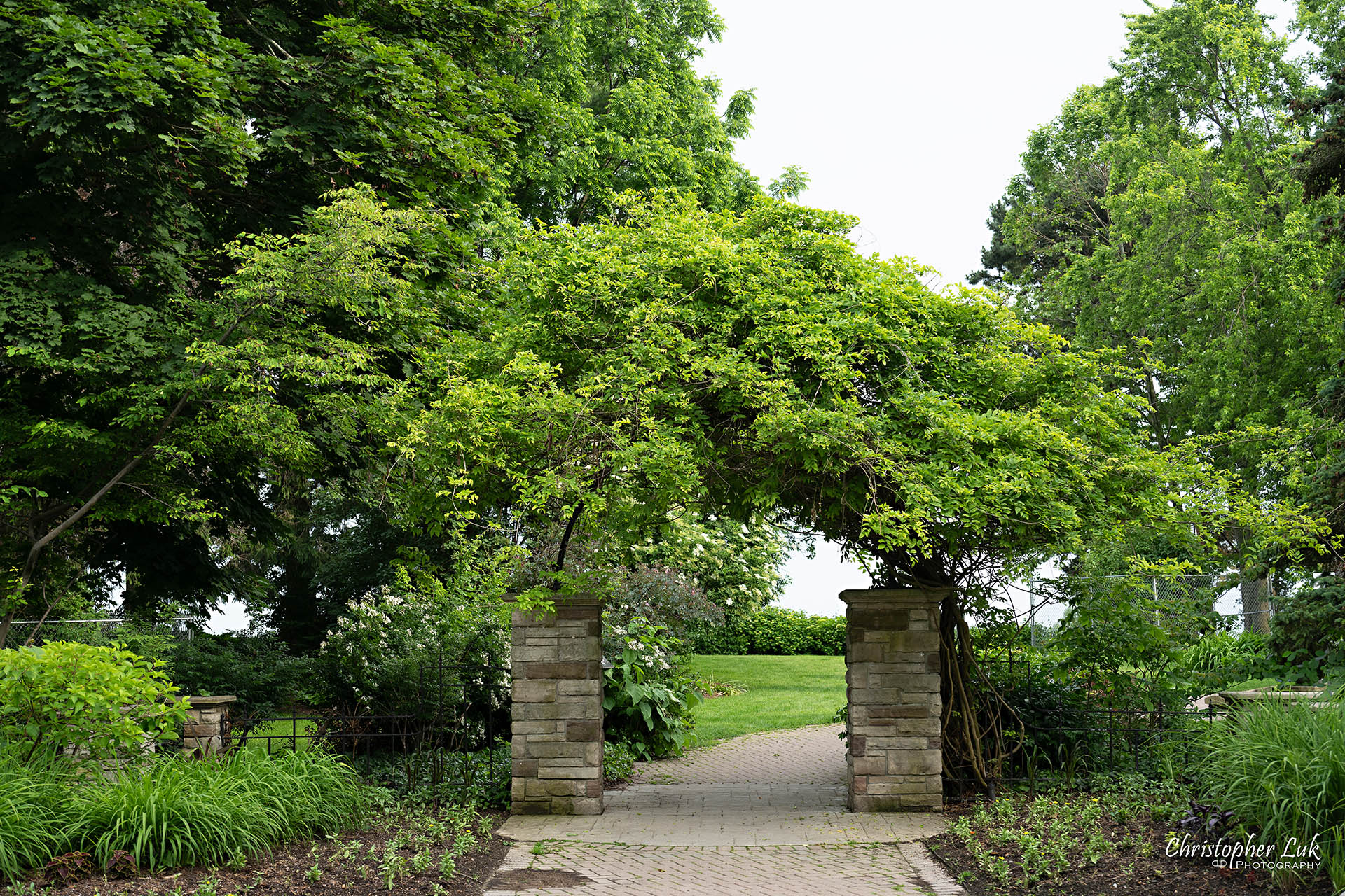 Adamson Estate Garden Ivy Tree Leaves Arch